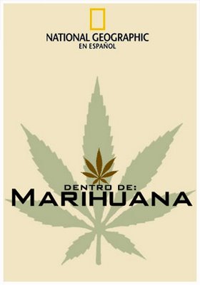 Dentro de la marihuana 