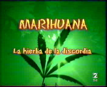 Marihuana La Hierba De La Discordia