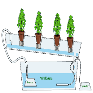 Hidropona Cmo Hacer Un Sistema De Cultivo Sin Suelo Bioguia