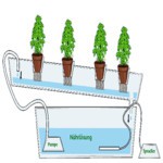 Hydroponics