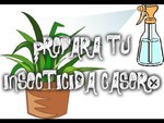 Insecticidas