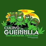 Guerrilla