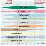 pH / EC / TDS / PPM