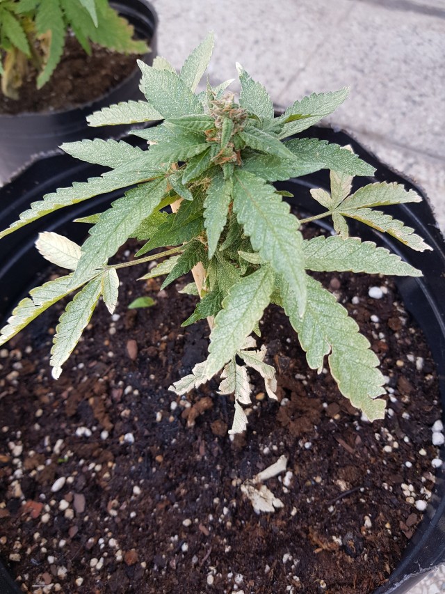 20180321_105153.jpg