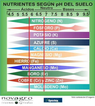 07dd19ec41a04280de9631a168275659.jpg