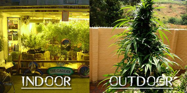 indooroutdoor.jpg