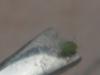 post-252-14535357687555_thumb.jpg