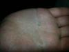 post-1787-14535363579373_thumb.jpg