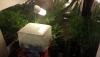 post-1220-14535364113003_thumb.jpg