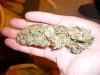 post-420-14535358289507_thumb.jpg