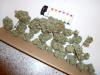post-420-14535358289952_thumb.jpg