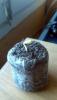 post-187-14535358758676_thumb.jpg