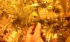 post-1305-14535372084061_thumb.jpg