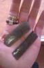 post-2499-14535371482317_thumb.jpg