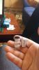 post-1908-14535365890444_thumb.jpg
