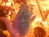 post-1305-1453536111073_thumb.jpg