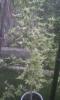 post-207-14535357182255_thumb.jpg