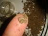 post-2316-14535368782744_thumb.jpg