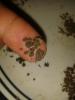 post-2316-14535368783446_thumb.jpg
