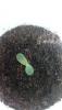 post-2386-14535374579027_thumb.jpg