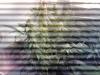 post-2109-14535370133559_thumb.jpg