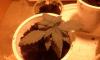 post-1305-14535374926717_thumb.jpg
