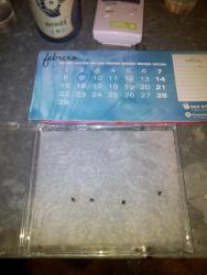 56ba52dfa15d1_2016-02-0921.11.10.thumb.j