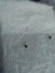56bb6f456e3f3_2016-02-1011.02.57.thumb.j