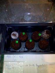 56bb700a05c50_2016-02-1017.03.36.thumb.j