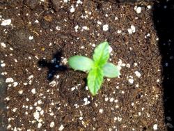 56c0ecb32ac1d_2016-02-1420.04.05.thumb.j
