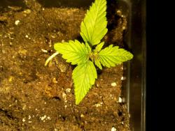 56ccb5a476716_2016-02-2312.03.25.thumb.j