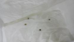 IMG_20160221_220823.jpg
