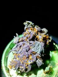 IMG-20160117-WA0002.thumb.jpg.f86a7994ea