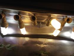 IMG_0314.thumb.JPG.4818e494b88e32be75e64