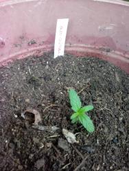 2016-04-04 16.32.26.jpg