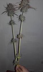 20160423_155025.jpg