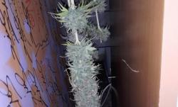 20160423_160904.jpg