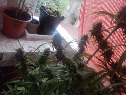 Menudas porras !!!$€£.jpg