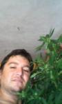 carvarhum