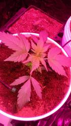 IMG-20160914-WA0014.jpg