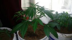 IMG-20160922-WA0024.jpg