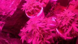 IMG-20160926-WA0014.jpg
