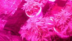 IMG-20160926-WA0015.jpg
