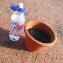 20161007_101438-1.jpg