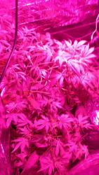 IMG-20161003-WA0021.jpg