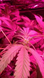 IMG-20161003-WA0026.jpg