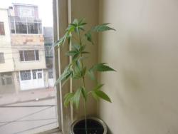 P1000937.JPG
