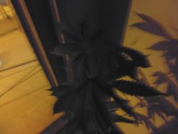 P1010001.JPG