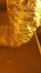 20170226_102641.thumb.jpg.ee43b53fcb3a605959a0478e08b82363.jpg