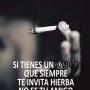 Fraan2201